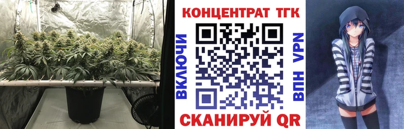 ТГК гашишное масло  Пересвет 